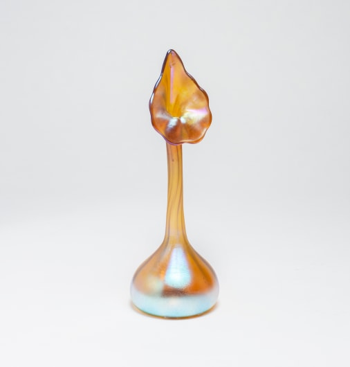 Miniature Jack in the Pulpit Vase
