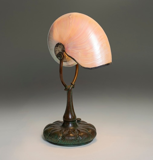 Rare Nautilus Lamp