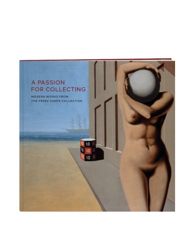 A Passion for Collecting: Modern Works from the Pérez Simón Collection