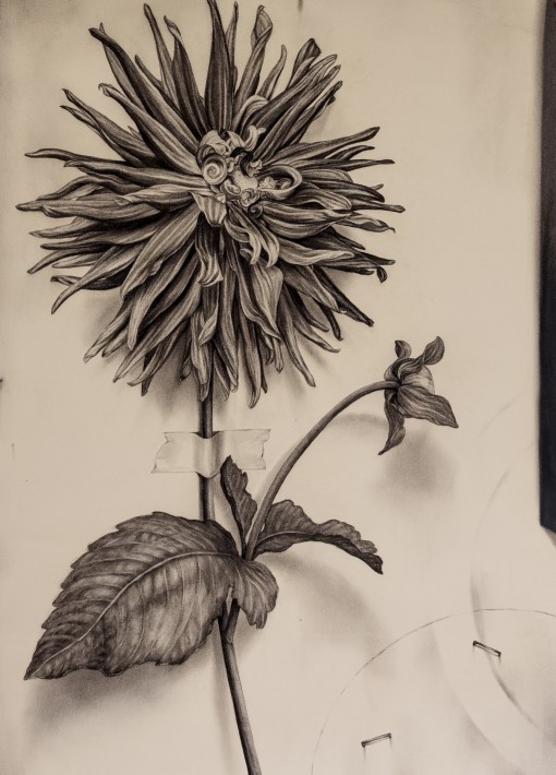 Carmen Almon &amp; Emily Farish | Anatomy of the Ephemeral