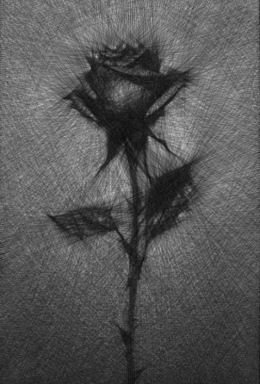 Silent Love,, 2023,