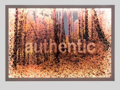 Authentic,, Digital print on acrylic glass, LED