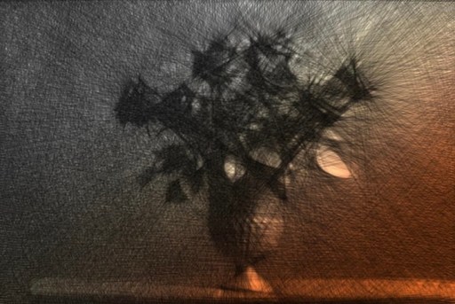 Orange Sunset, 2023,