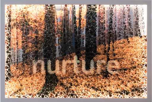 Nurture,, Digital print on acrylic glass, LED,