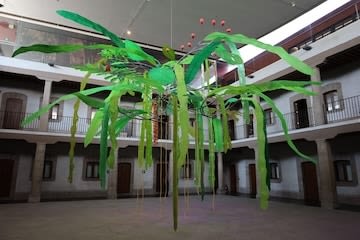 Thomas Glassford in Visionses Botanicas at el Museo Kaluz