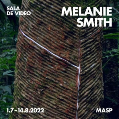Video Room: Melanie Smith Museum of Art of São Paulo Assis Chateaubriand
