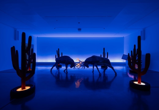 Doug Aitken
