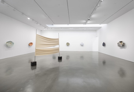 Liz Larner