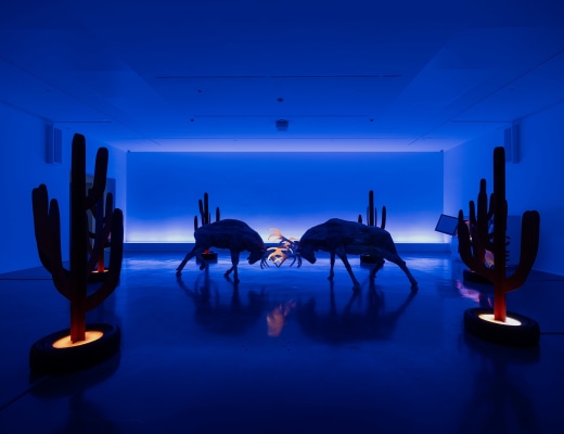 Doug Aitken