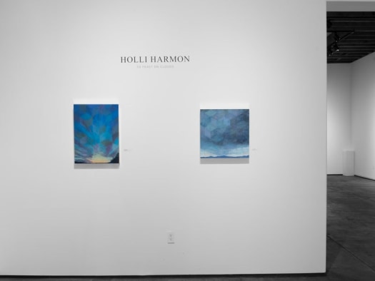Installation photograph of HOLLI HARMON: To Feast on Clouds