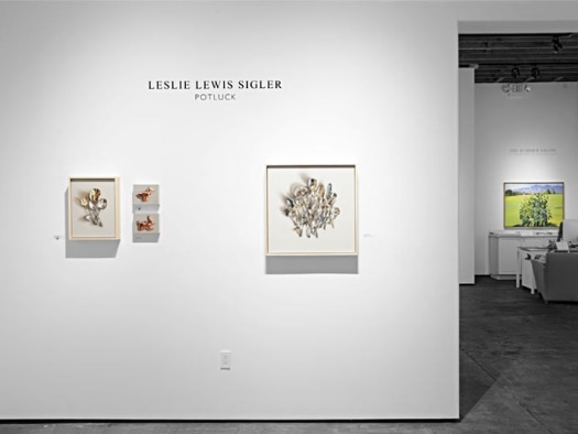 Installation phtoograph of LESLIE LEWIS SIGLER: Potluck (with the Summer Salon, 2022 in the background)