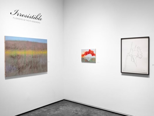 Installation photograph of IRRESISTIBLE: Flowers & Their Admirers, Maria Rendon an Ellsworth Kelly