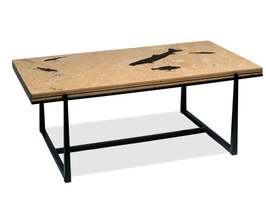 Fossil Coffee Table 9009t