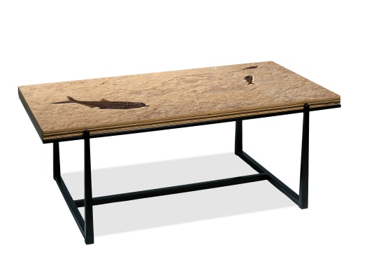 Fossil Coffee Table 5333t