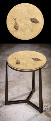Fossil Drink Table 1376 (SOLD)