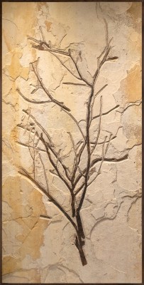 Fossil Plant Mural 4001cm (SOLD)