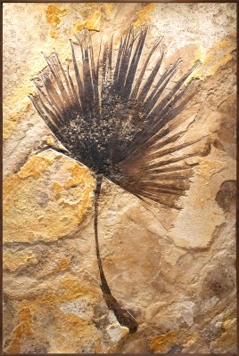 Fossil Palm Mural 4001gm