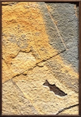 Fossil Mural 2426mm