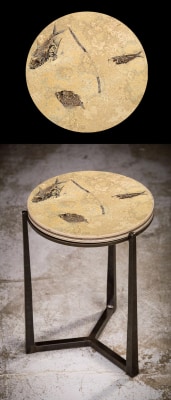 Fossil Drink Table 1365 (SOLD)