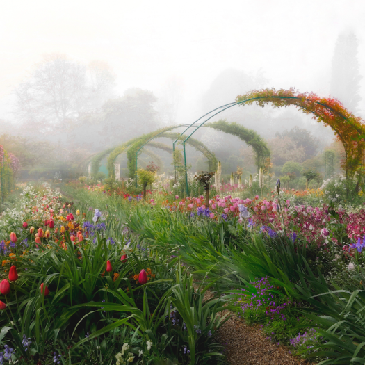 Aileen Bordman: Monet's Garden