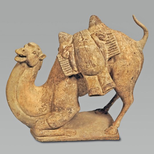 Chinese Unglazed Pottery Figure of a Kneeling Camel