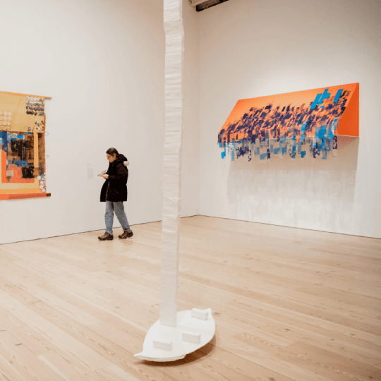 The Whitney Biennial: Young Art Cross‑ Stitched With Politics