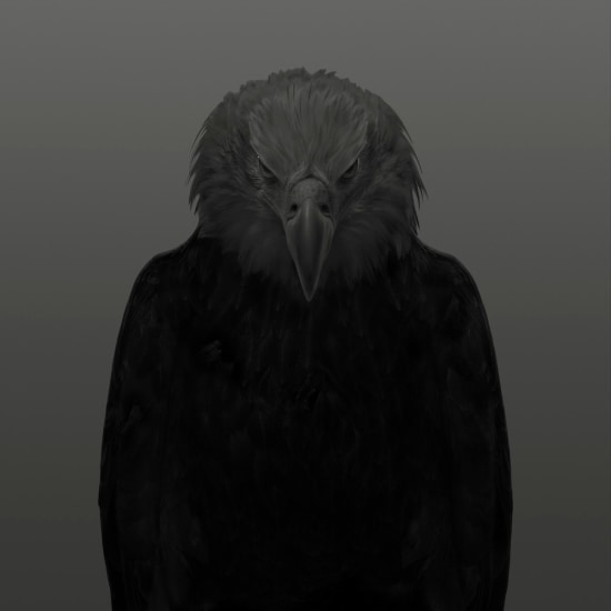 Dean West, Bald Eagle # 1, American West, 2025