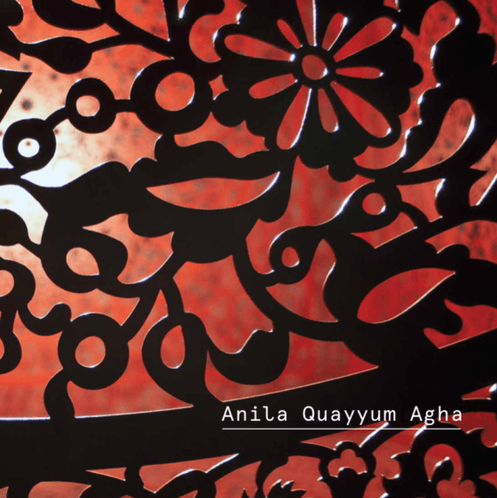 Anila Quayyum Agha | Walking With My Mother's Shadow