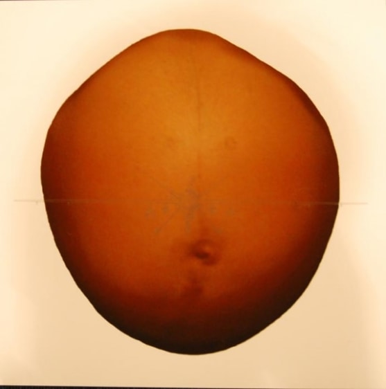Farida Batool SONGS OF LOVE 5 2009 Multi-media on archival paper 18 x 18 in.