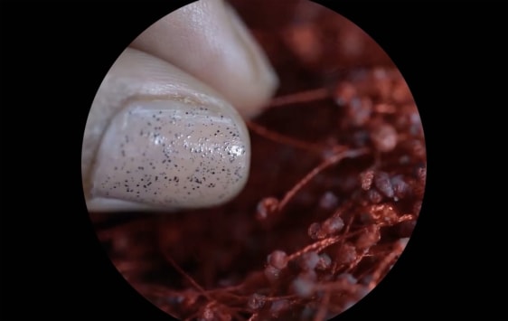 Pranati&nbsp;Panda In Silence I, 2019