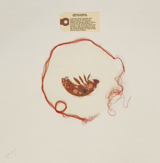 Tazeen Qayyum READ SAFETY DIRECTIONS BEFORE USE 2008 Gouache, entomology pins and cotton thread on wasli 11 x 11 in. NFS