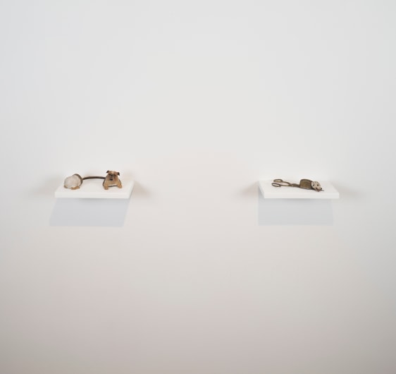 Aicon Gallery, Anatomy of a Horny Heart