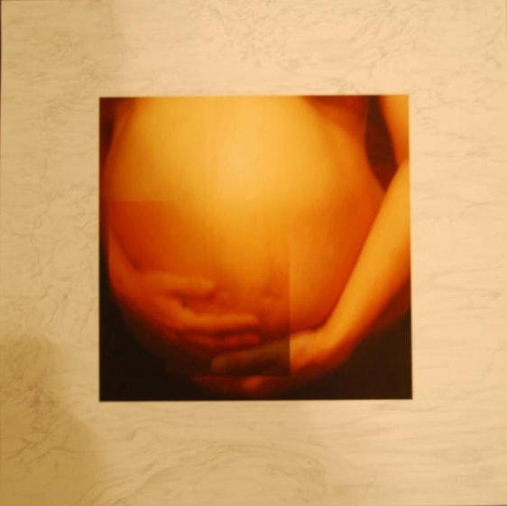 Farida Batool SONGS OF LOVE 1 2009 Multi-media on archival paper 18 x 18 in.