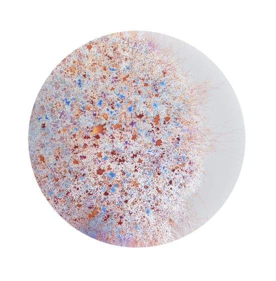 Dhara&nbsp;Mehrotra, Laminae I, 2025