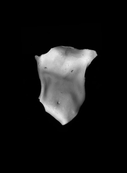 Aditya Pande B+H&amp;M 2014 Mixed media on archival paper 61 x 44.5 in.