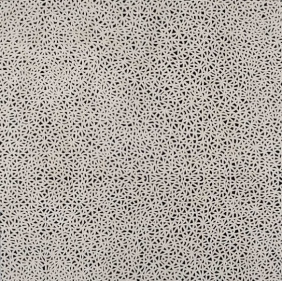 Anil Revri Fractal 2 2006 Mixed media on linen 48 x 48 in.