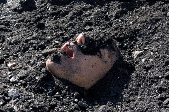 Mariam Ghani &amp; Erin Ellen Kelly Black Coal Dust #1 (From the series Landscape Studies: New Mexico) 2008-10 Dye transfer print on aluminum 20 x 30 in.