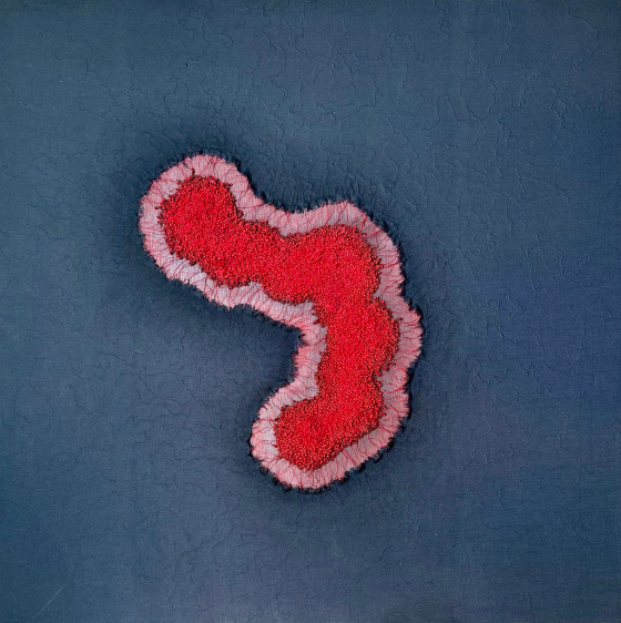 Growing within III, 2025, ply, fabric, synthetic thread, cotton thread, glue, ink, acrylic color