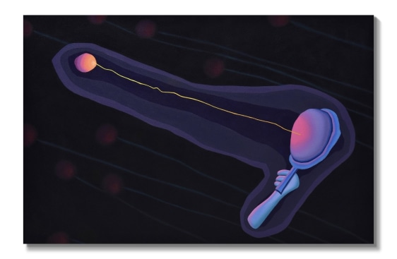 Untitled, 2022  Oil and acrylic on canvas  20 x 28 in