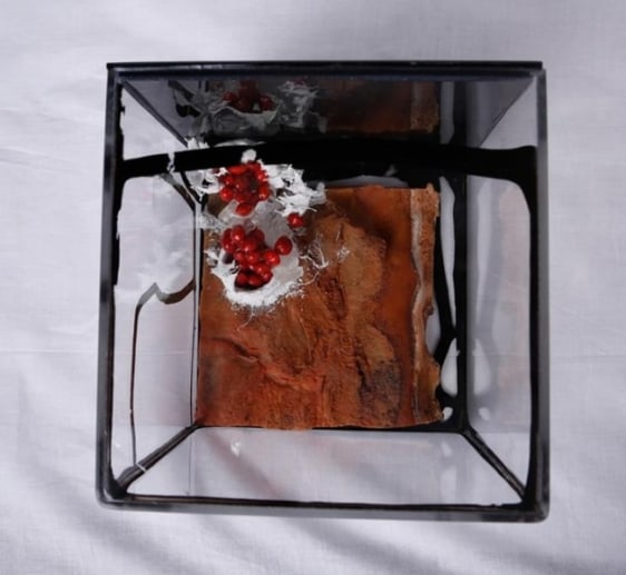 Ratna Gupta SOMEDAY CONTAINED SERIES (BOX 4) 2014 Acrylic box containing mixed media 6 x 6 x 6 in.