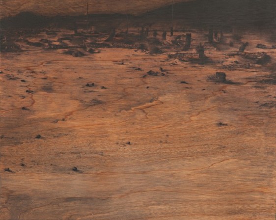 Saad Qureshi Brightness Breaks 2015 Charcoal, pastel, Indian ink on gaboon plywood 20 x 25 in.