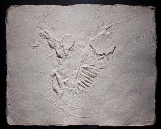 Somnath Hore WOUND SERIES-9 ND Cast handmade paper 19 x 25 in.