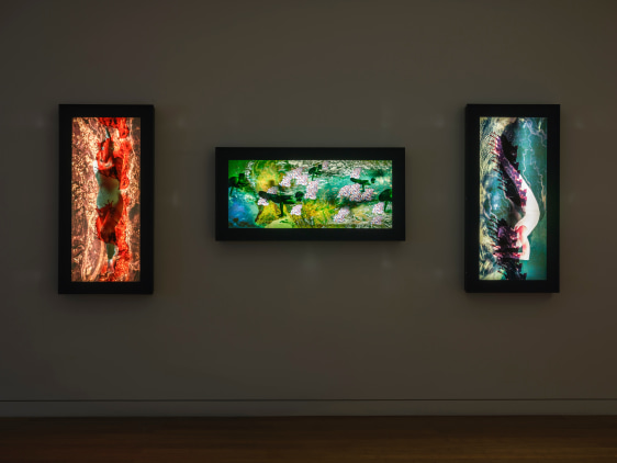 Aicon Gallery,&nbsp;Gift and it&#039;s Offerings