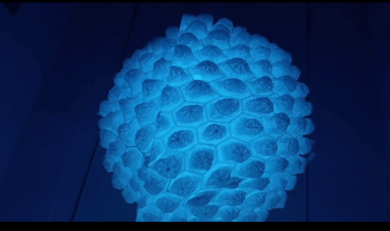 Short Film -&nbsp;Abdullah M. I. Syed | Light Upon Light, Watch the short film&nbsp;HERE