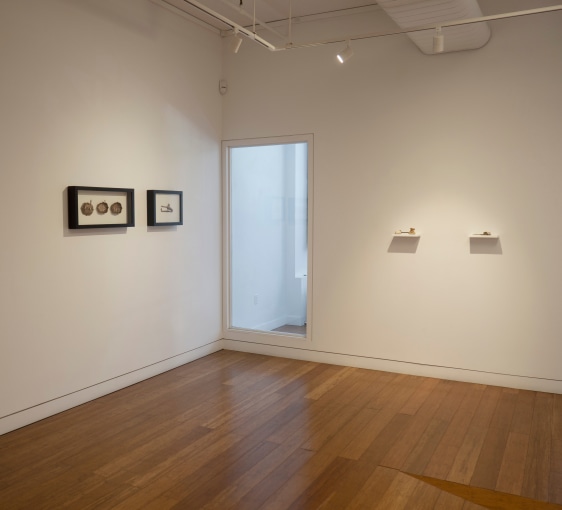 Aicon Gallery, Anatomy of a Horny Heart