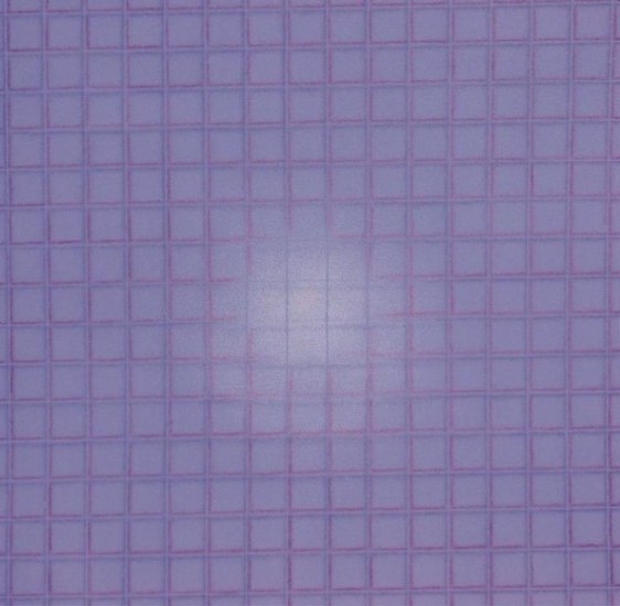 Shobha Broota THE REVELATION 2007 Oil and acrylic on canvas 48 x 48 in.