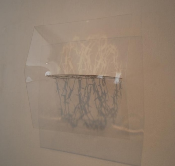 Amna Ilyas UNTITLED 4 2010 Acrylic with Metalizing 24 x 24 in.