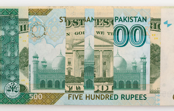Abdullah M. I. Syed, Weaving Overlapped Realities: 20 US Dollar and 500 Pakistani Rupee (Structures, Verso) (Detail), 2020