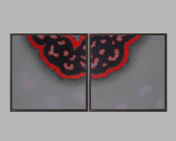 Pranati&nbsp;Panda In Transience II, 2025