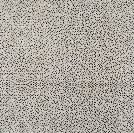 Anil Revri FRACTAL 2 2006 Mixed media on linen 48 x 48 in.